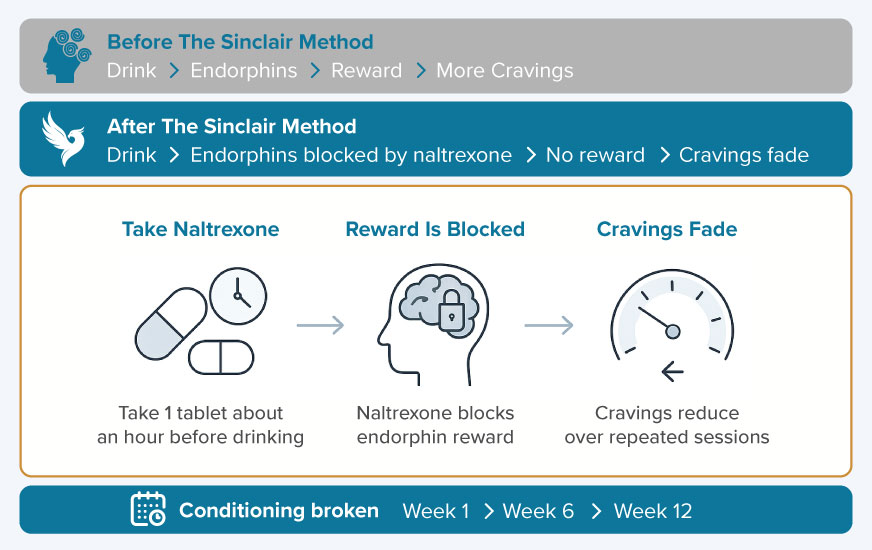 How the Sinclair Method works: naltrexone blocks alcohol’s endorphin reward to reduce cravings over time